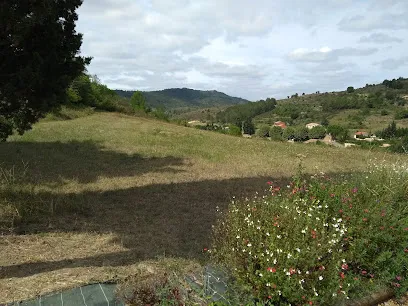 Image de Montascale2C di Cheldi Carlo