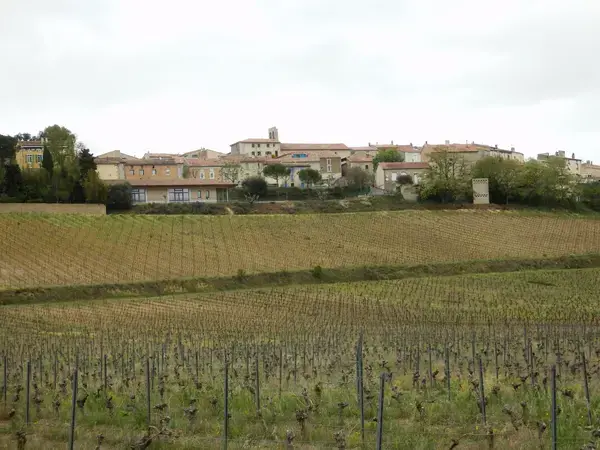Monte Escalier 11 Installateur monte escalier Pauligne
